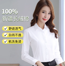 短袖衬衫女夏季白衬衫OL职业装修身商务正装面试工作服装打底衬